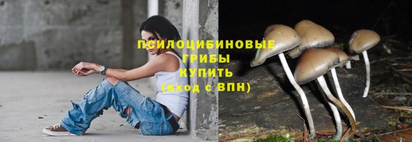 таблы Надым