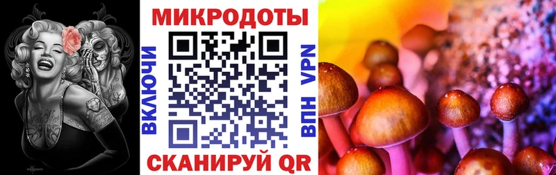 Галлюциногенные грибы Psilocybe Ужур