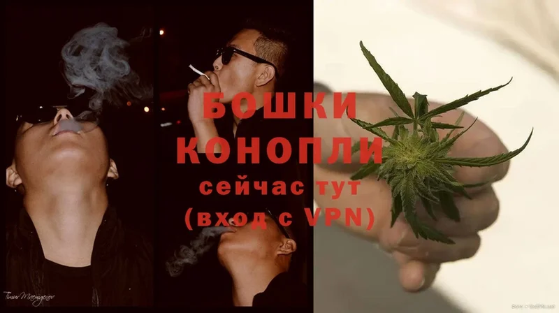 наркотики  Ужур  Конопля OG Kush 